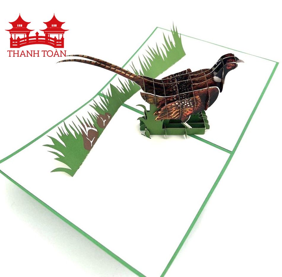 D88 Chim trĩ đỏ 2023 (ĐẠI)