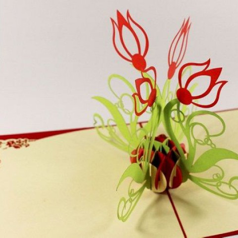 NV09 tulips (SMALL PRICE)